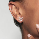 Diamond Gift Set - Snowflake & Palace Earring Charms